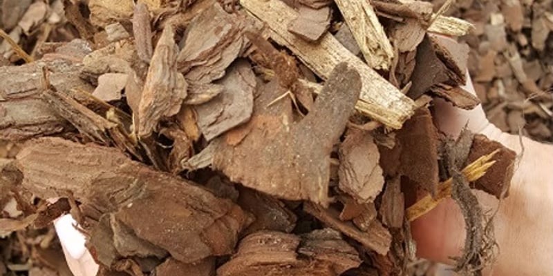 Mini Pine Bark Nuggets