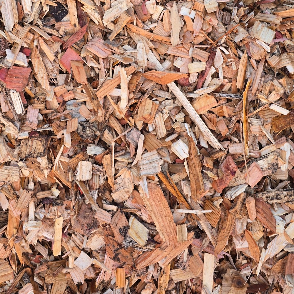 Cedar Chips