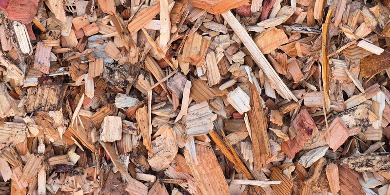 Cedar Chips