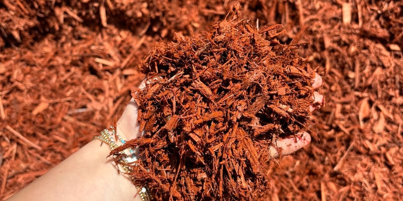 Little Anthony's Dark Red Mulch