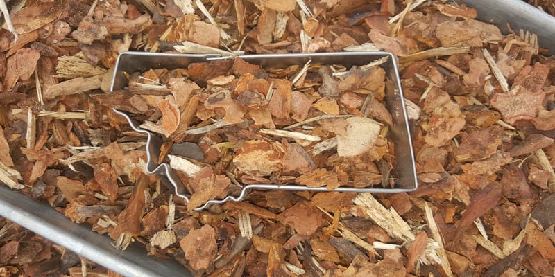 Pathway Chips