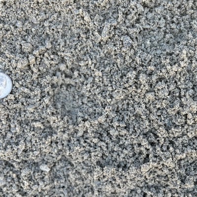 Coarse Stone Dust Image