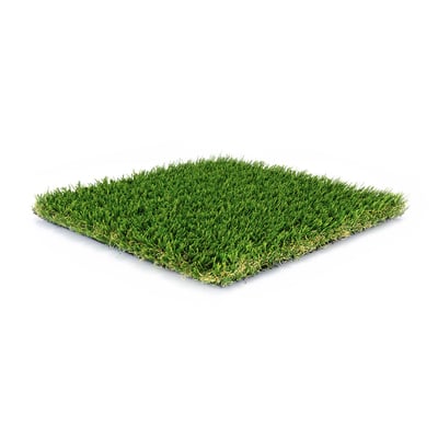 Coastal Blend Turf Image