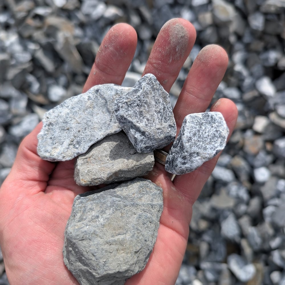 Tuxedo - 2-1/2" Clear (Washed)