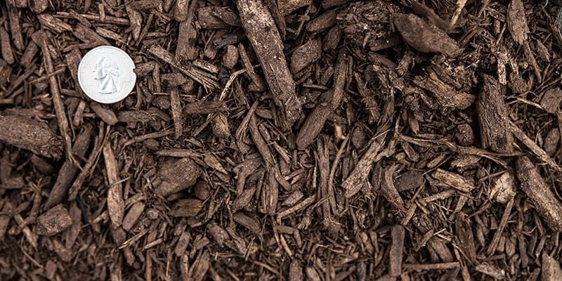 Dark Mulch