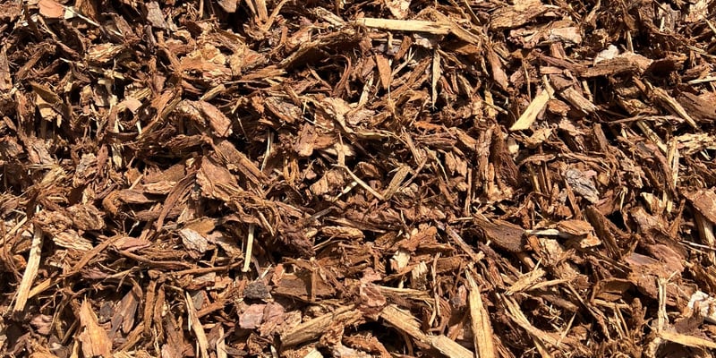 Medium Mix Bark