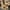 AL Thick Brown Rubble 5-8" (#12)
