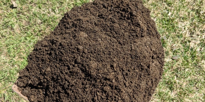 80/20 Loam Compost Blend