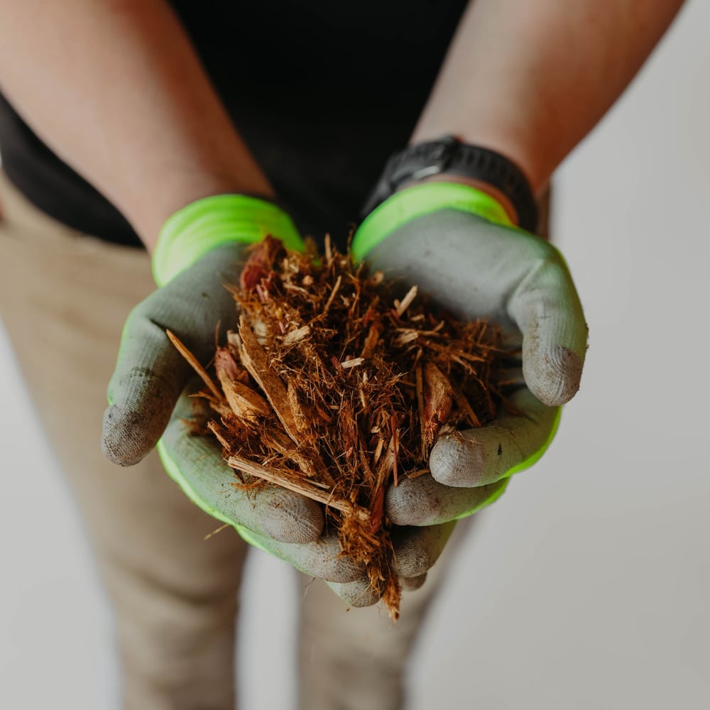 Cedar Mulch