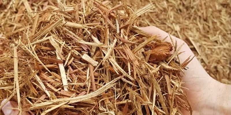 Cedar Mulch