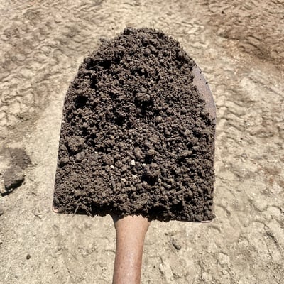 Loam