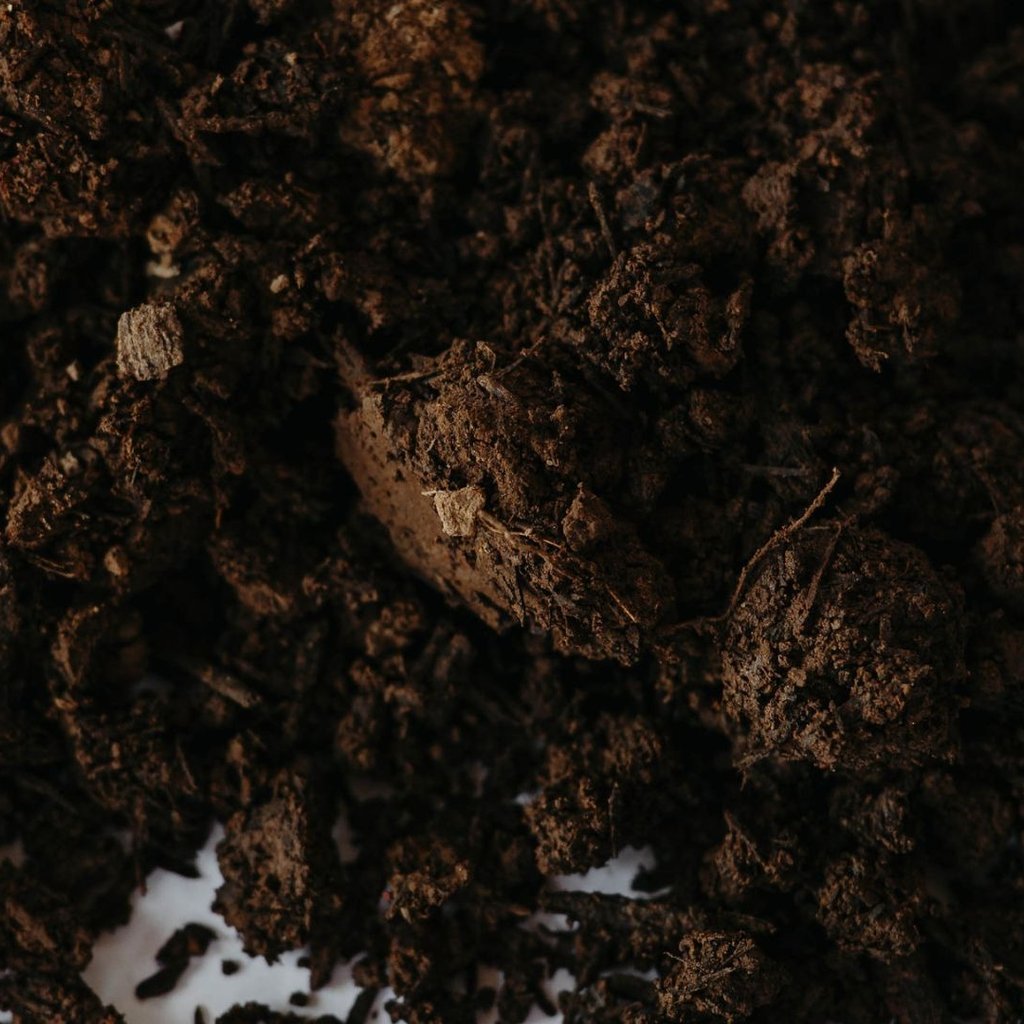 Soil
