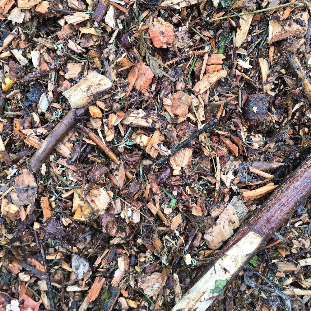 Arborist Chips