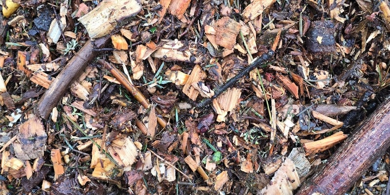 Arborist Chips