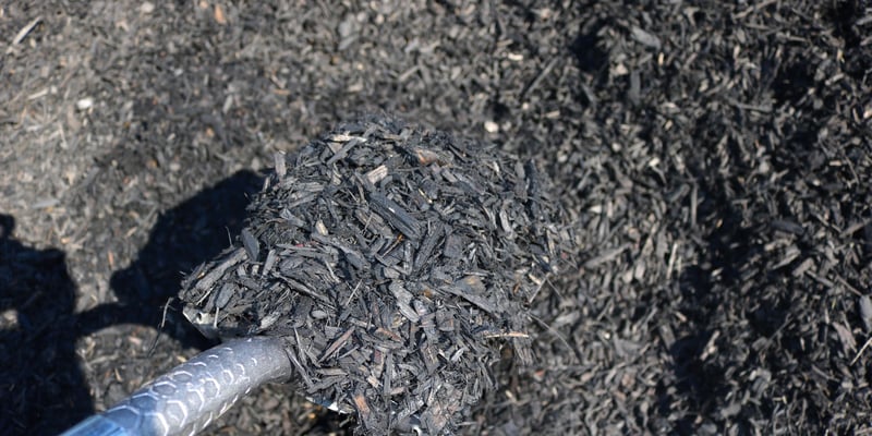Designer Black Dyed Mulch