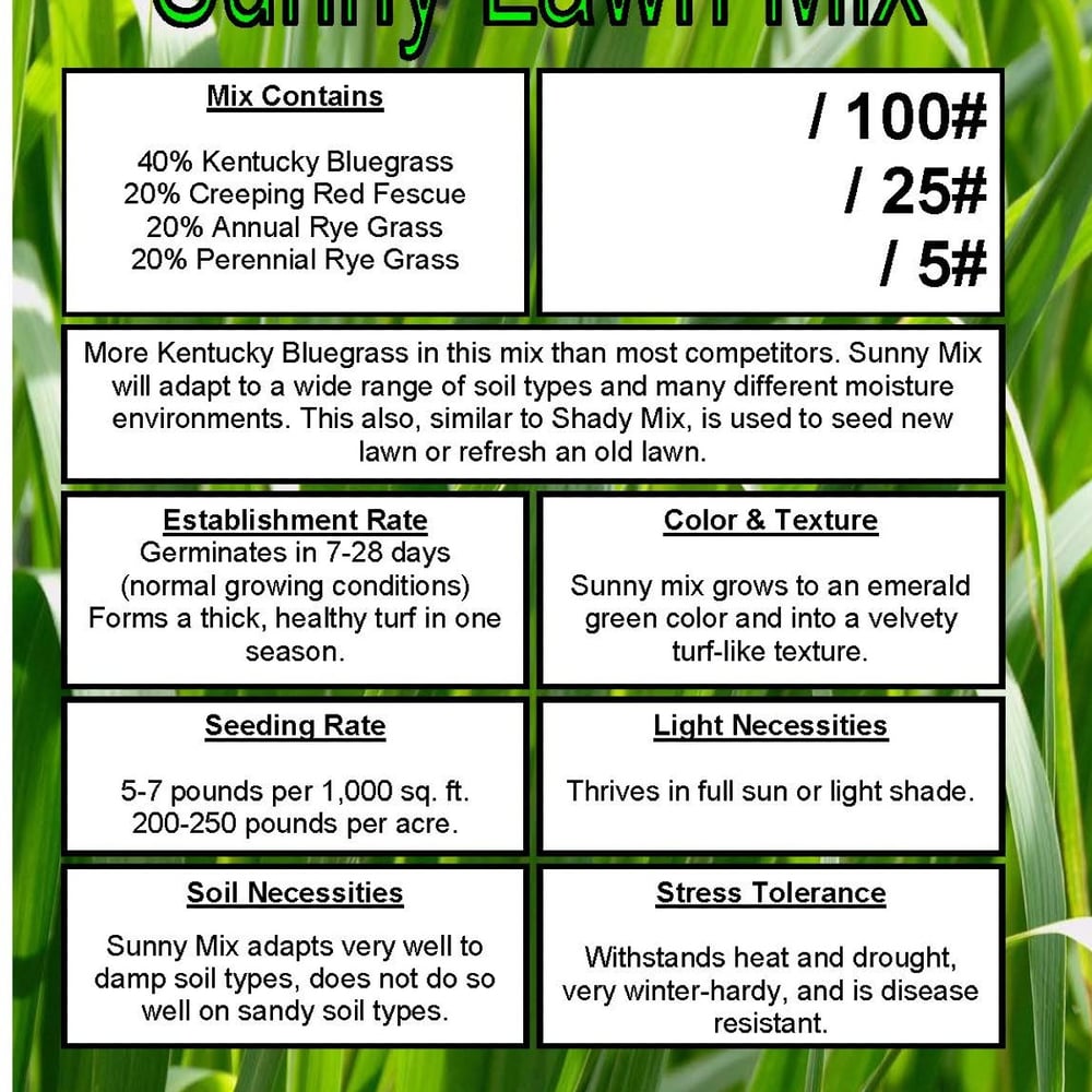 Grass Seed- Sunny Grass Mix