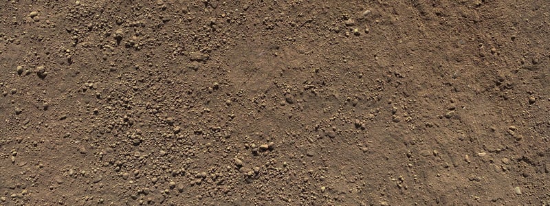 An example image showing screened topsoil and its texture. This product is available for delivery in the Missoula & Bitterroot Valleys.