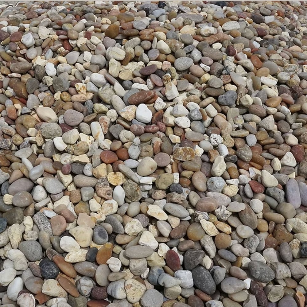 Alabama Sunburst Bulk