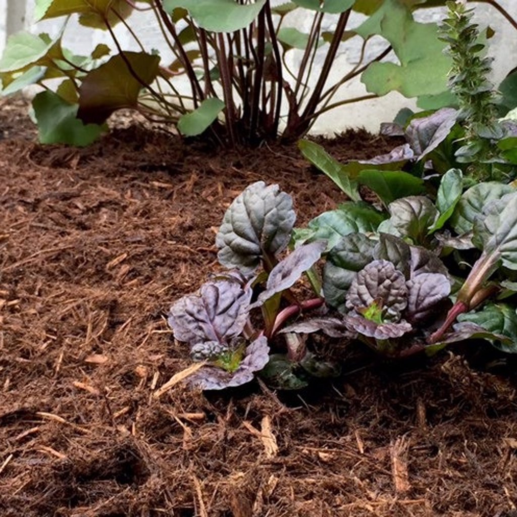 Mulch Products