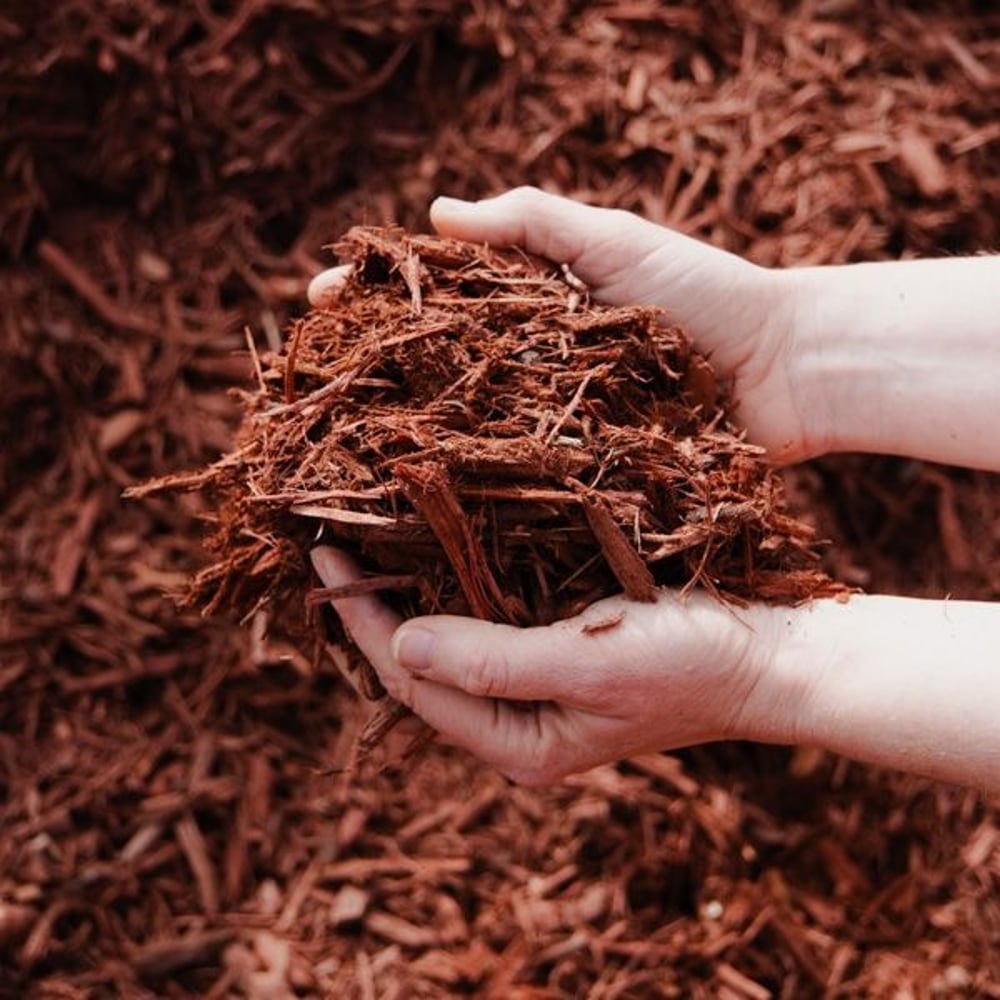 Mulch, Red Dyed - Bulk