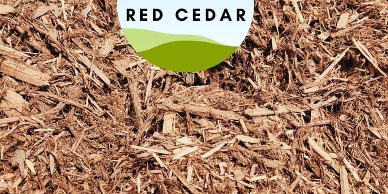 Western Red Cedar Mulch