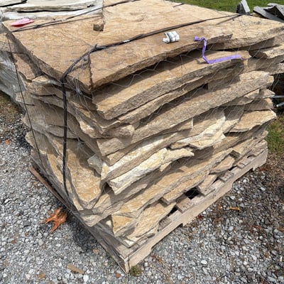 FOSSIL CREEK STEPPERS