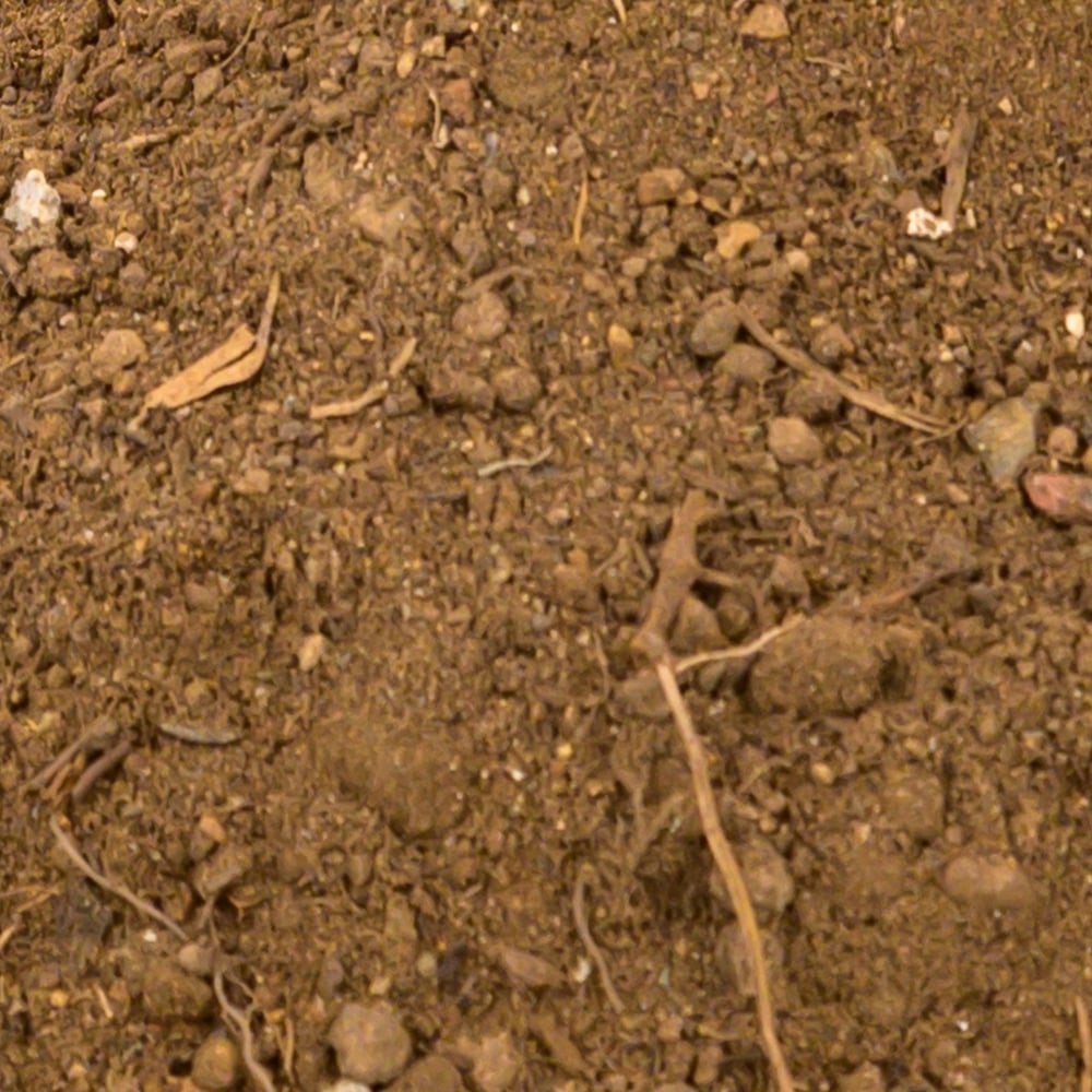Screened Topsoil