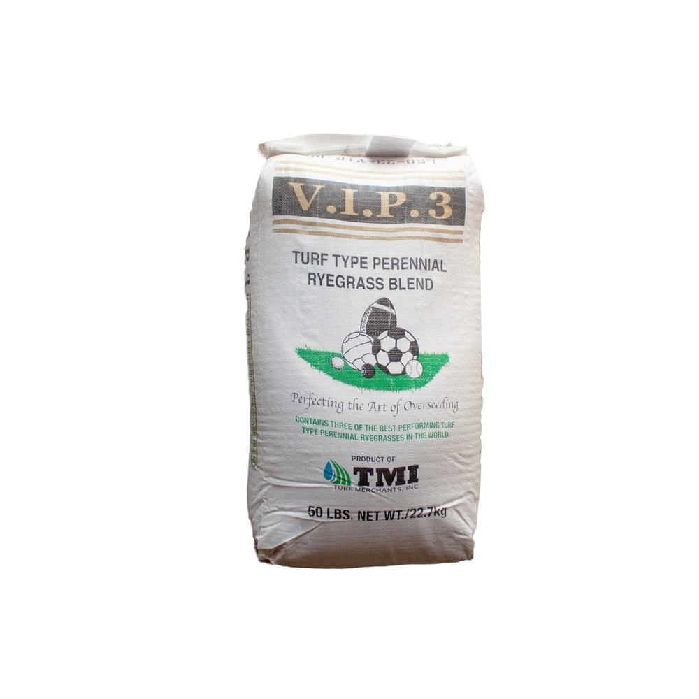 Perennial Ryegrass Grass Seed