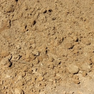 Fill Dirt