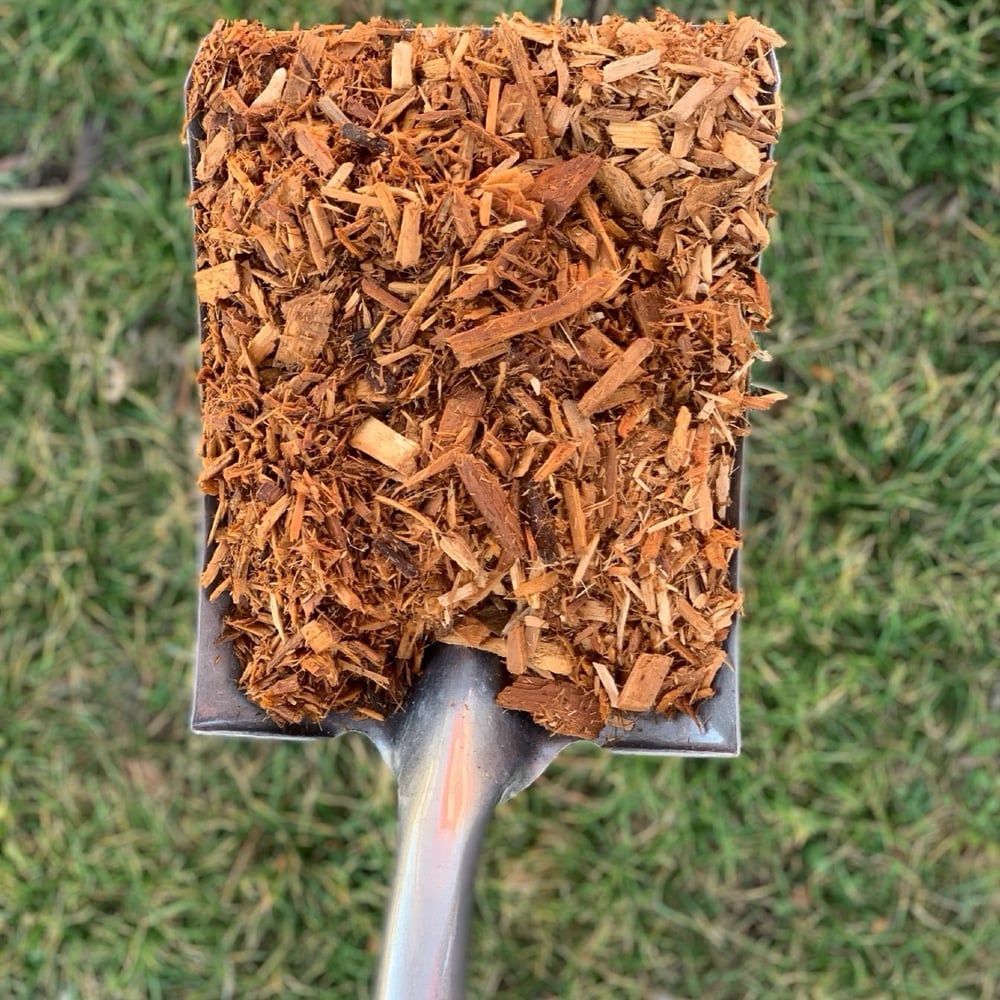 Certified Playground Chip