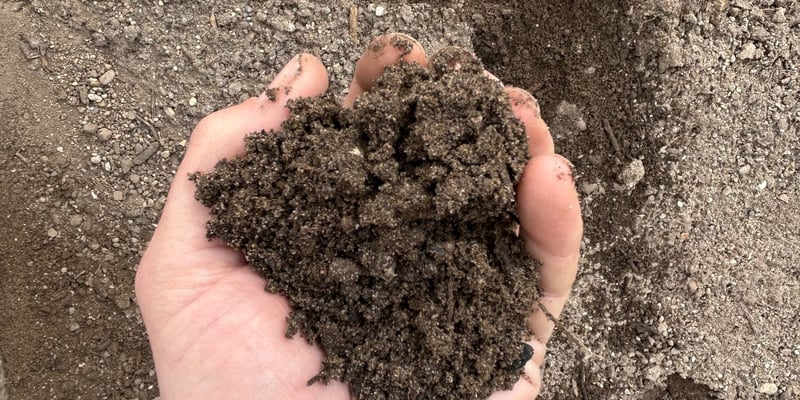 Top Soil