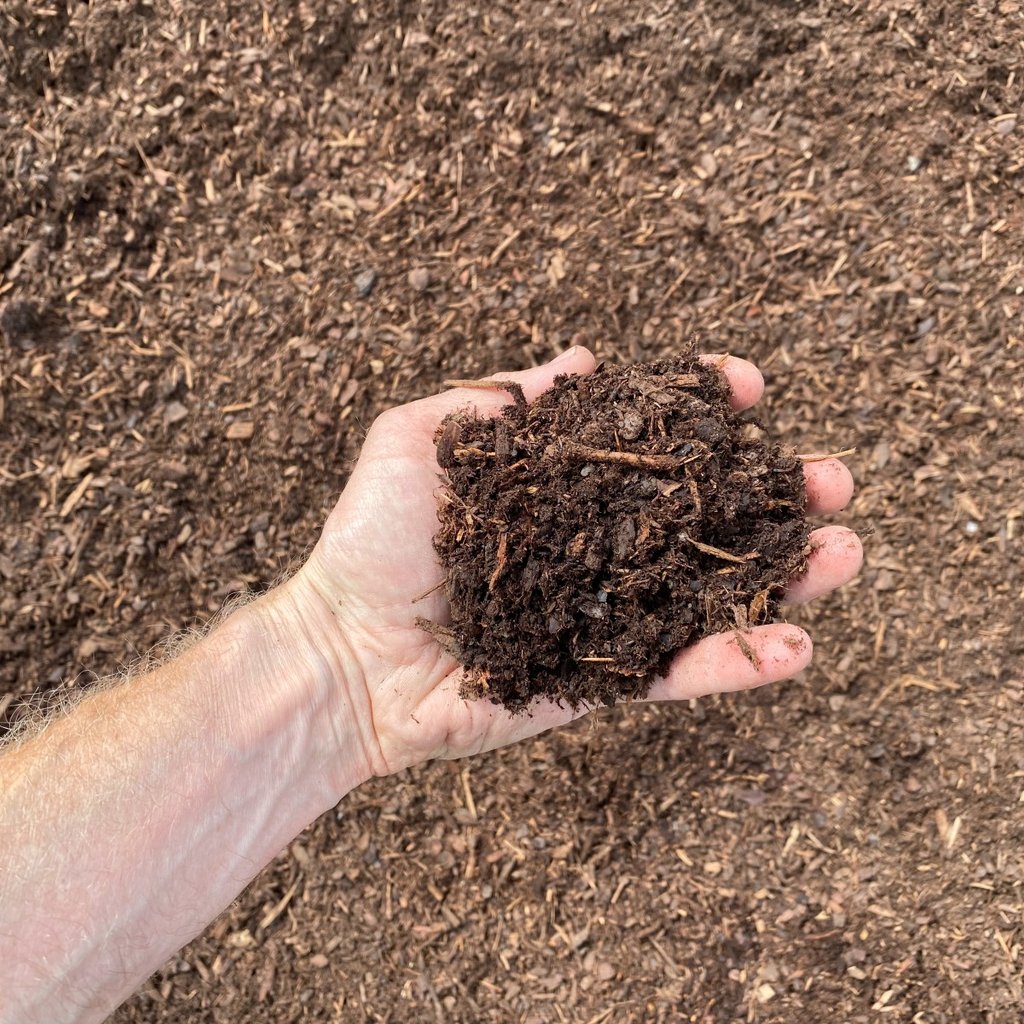 Image of Dark Soil Pep showing the texture with a hand for scale.