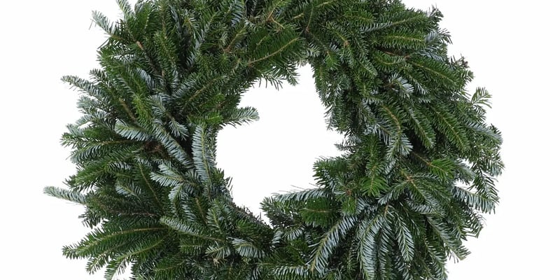 PRE ORDER Fraser Fir Wreaths 20-22"