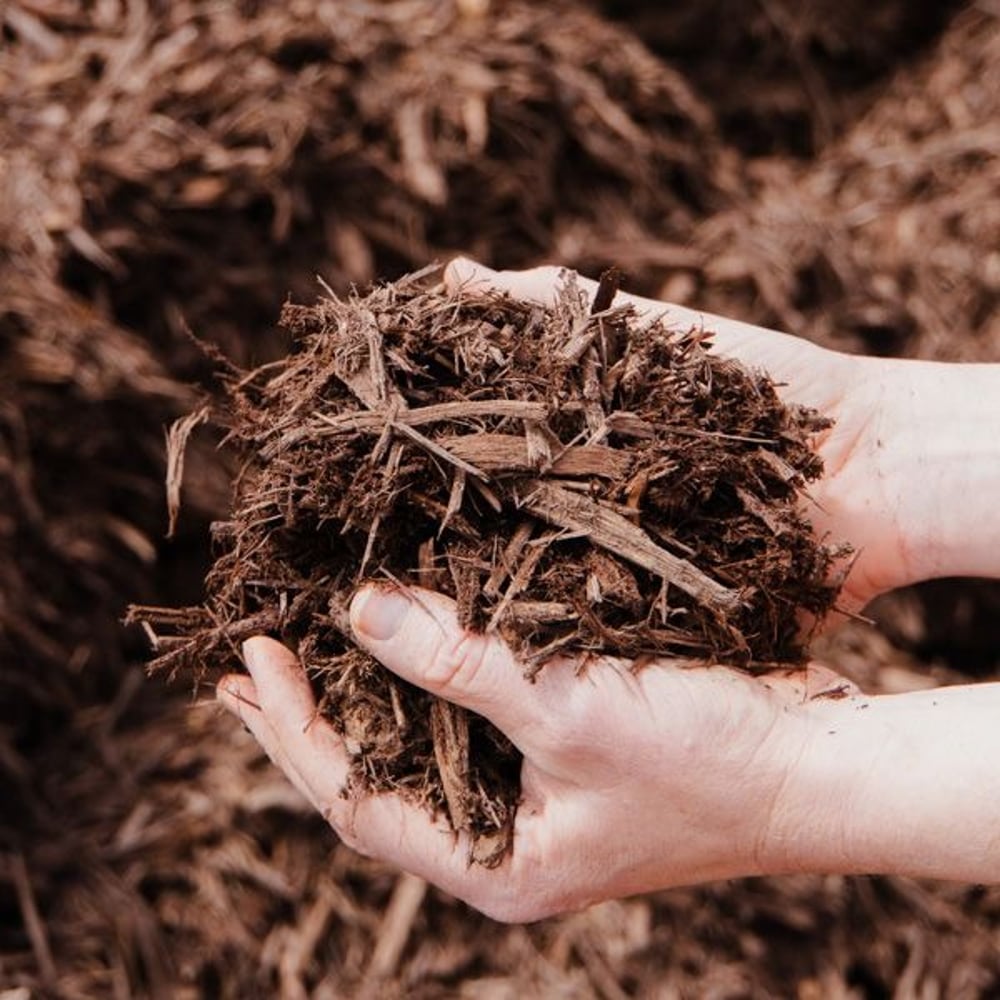Mulch, Chocolate Dyed - Bulk