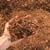 Fresh Soil Pep (Light Fines)