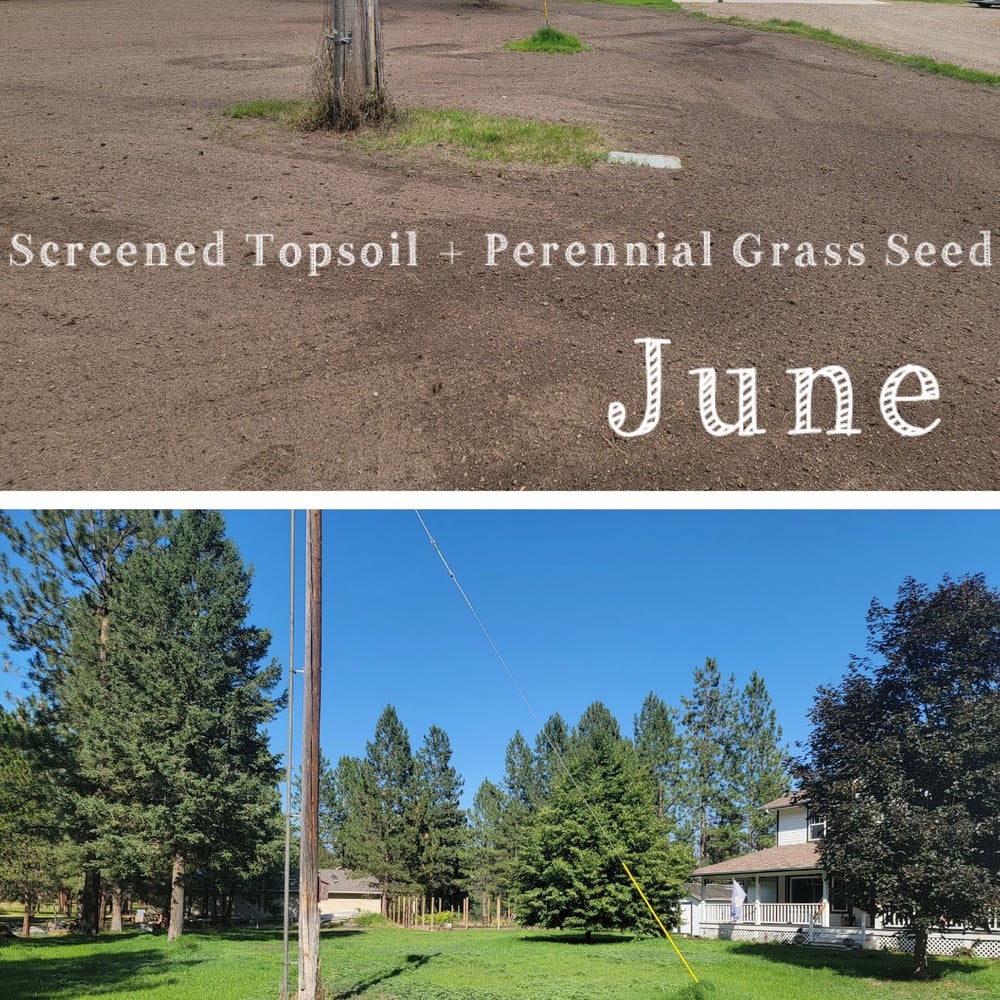 Seeded Screened Topsoil - Grow a Lawn!