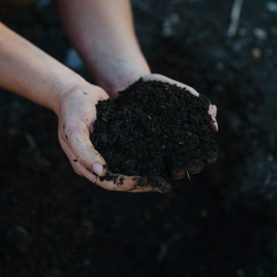 Bulk Annual Plant and Potted Plant Compost Image