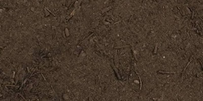 Organic Compost