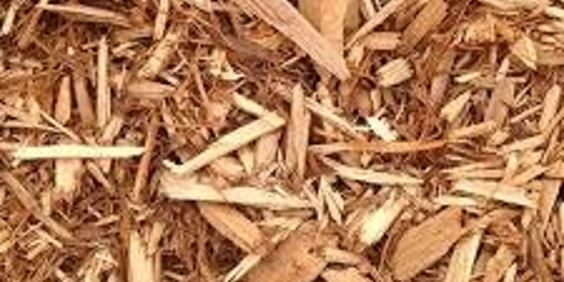 Single Ground Wood Chips