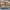 Coping Brown 2-3"x16" Wide (#60-16BR)