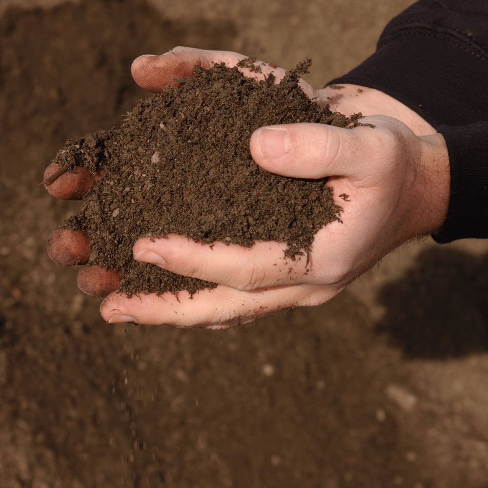 Organically Enriched Topsoil