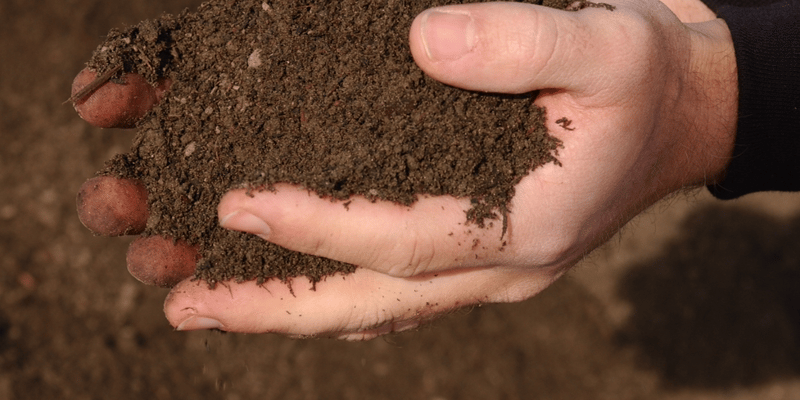 Organically Enriched Topsoil