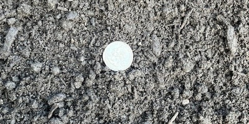 Compost