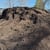 Organic Garden & Flowerbed Blended Soil