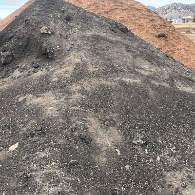 Black Sedge Peat Moss Image