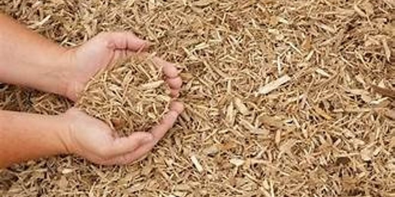 Playground Mulch