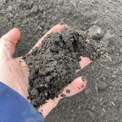 Soil- 50/50 Soil compost blend