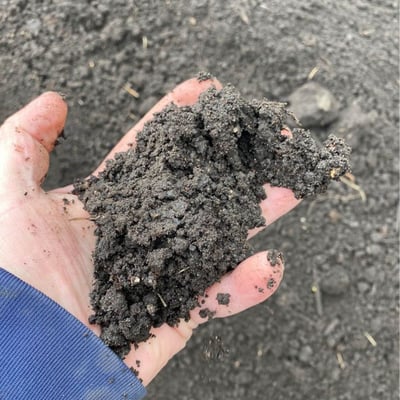 Soil- 50/50 Soil compost blend