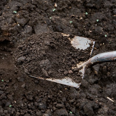 Soil, Black Dirt, Non Pulverized - Bulk