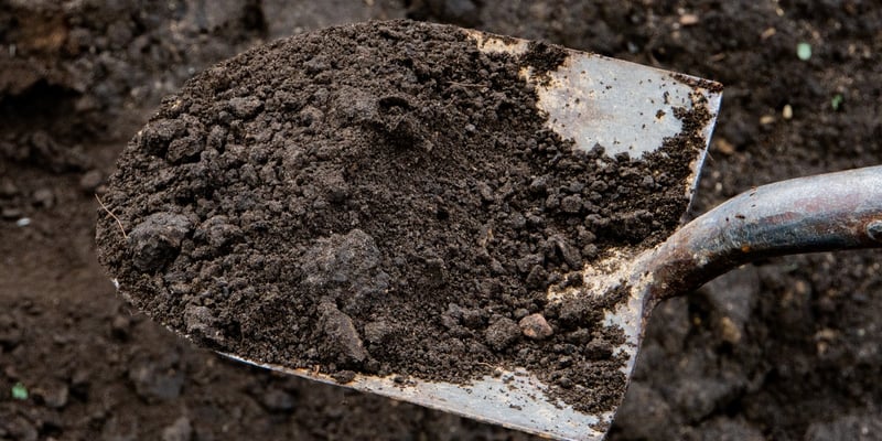 Soil, Black Dirt, Non Pulverized - Bulk